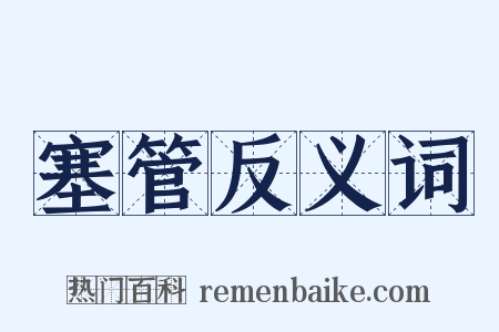 塞管反义词是什么意思的图片